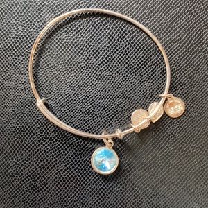Alex and Ani Birthday with March Charm